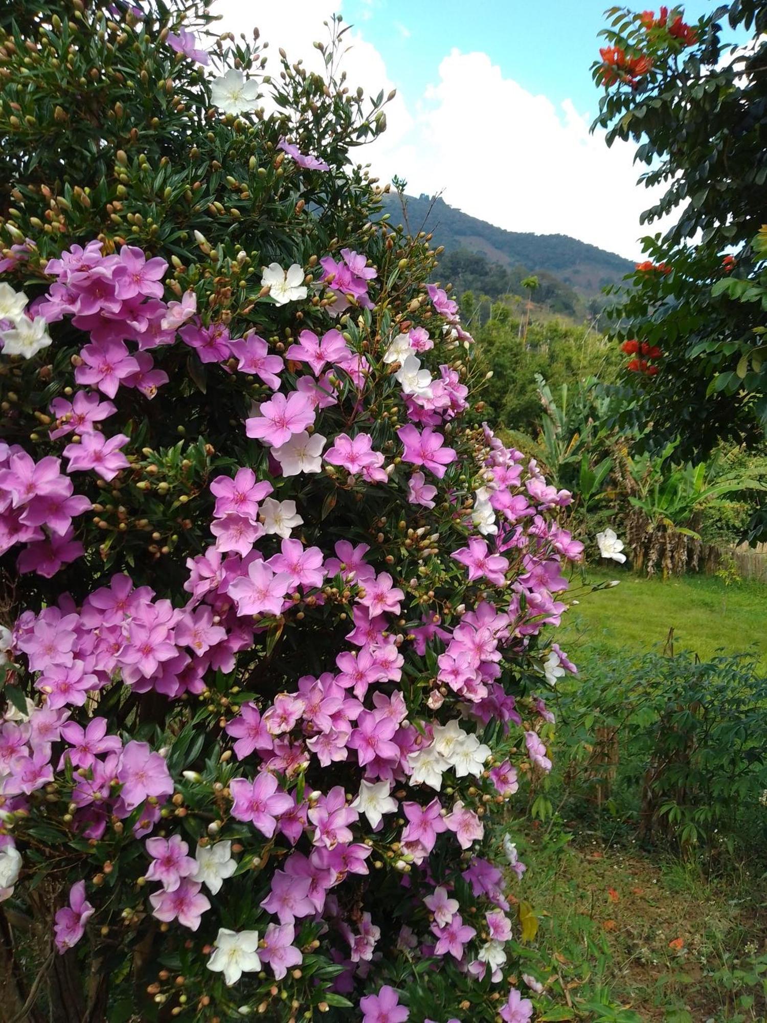 Villa Rancho Pe Da Pedra São Bento do Sapucaí Habitación foto